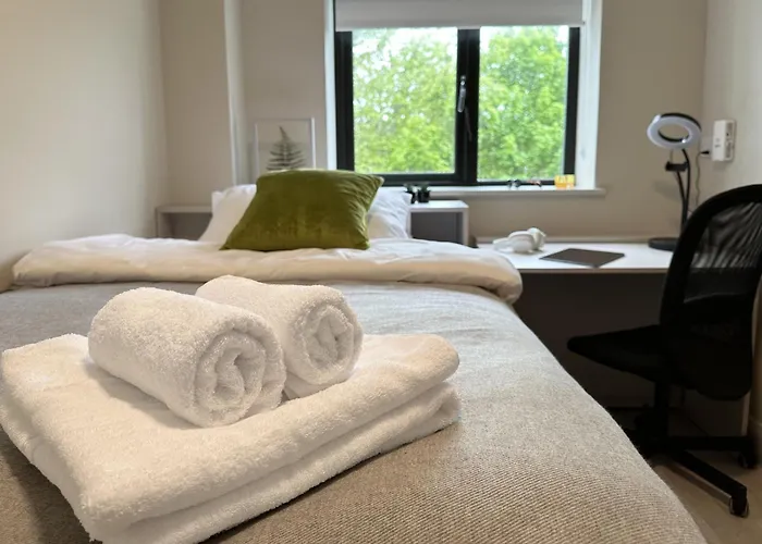 Cuirt Na Coiribe Summer *